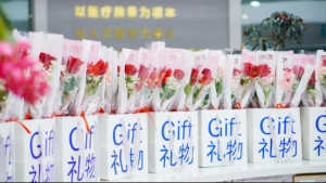 春暖三月，江湾相伴：女性全生命周期健康指南