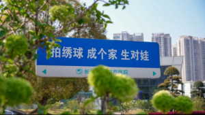 江湾春日图鉴：绣球花开 好孕到来