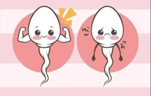 跑得快、长得帅，才能当第一！速来围观精子界的“超级海选”